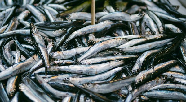 Radiologie et grossesse : enjeux et précautions